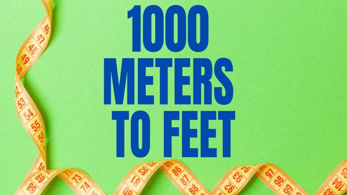 1000-meters-to-feet-1000-meter-3280-83989501-feet-2022